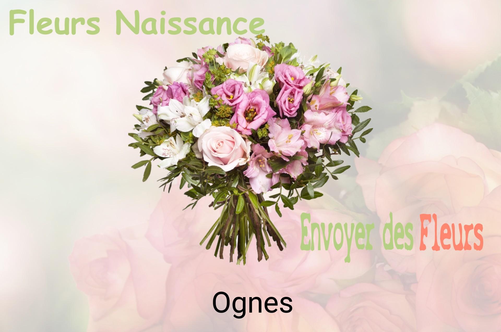 Bouquet de fleurs de naissance livré à Ognes